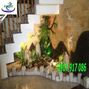 Sản phẩm tieu canh kho gam cau thang — Công Ty TNHH Một Thành Viên Cây Cảnh Thế Giới — MST 0311044592
