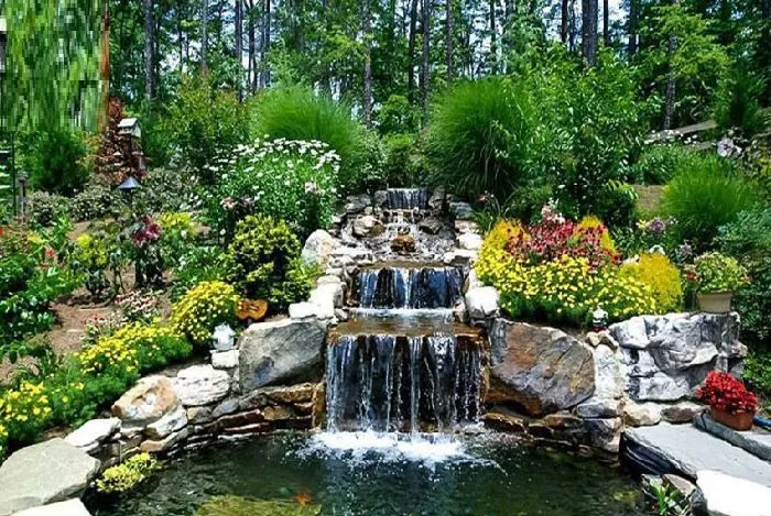Sản phẩm kham pha ve dep va phong cach thiet ke ho ca koi san vuon su ket hop hoan hao giua tham my va phong thuy 692ba55e619f2 — Công Ty TNHH Một Thành Viên Cây Cảnh Thế Giới — MST 0311044592