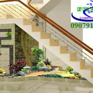 Sản phẩm tieu canh cau thang 113 300x300 — Công Ty TNHH Một Thành Viên Cây Cảnh Thế Giới — MST 0311044592