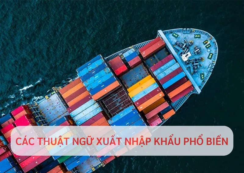 Sản phẩm WEBSITE PASL 1 — Công Ty TNHH Hàng Hải AMASIS — MST 0311095854