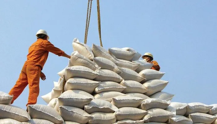 Sản phẩm 15 xuat khau gaozmwo 15505505390792039686392 crop 15505505442711218899516 — Công Ty CP Thương Mại Đầu Tư Tín Thương — MST 0311098502