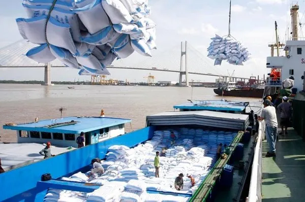 Sản phẩm xuatkhaugao 1516550103 — Công Ty CP Thương Mại Đầu Tư Tín Thương — MST 0311098502