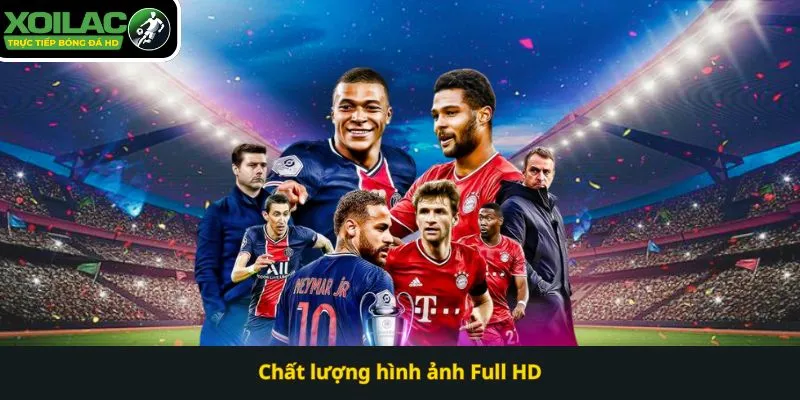 Sản phẩm Chat luong hinh anh Full HD — Công Ty CP Việt Nam Trường Thịnh — MST 0311099626