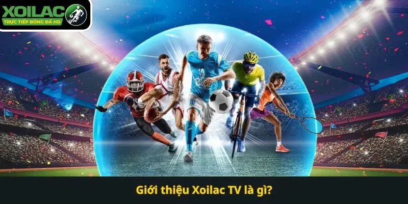 Sản phẩm Gioi thieu Xoilac TV la gi — Công Ty CP Việt Nam Trường Thịnh — MST 0311099626