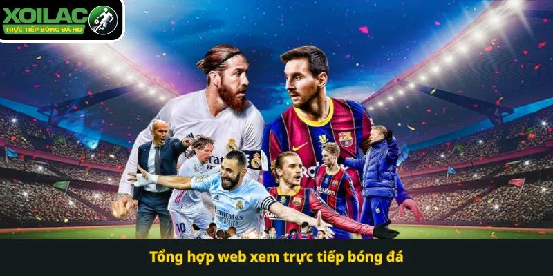 Sản phẩm Tong hop web xem truc tiep bong da — Công Ty CP Việt Nam Trường Thịnh — MST 0311099626