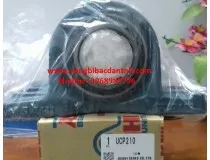 Sản phẩm ucp210 as 210x160 — Vòng Bi Thuỵ Ngọc Hà - Công Ty TNHH SX TM Và DV Thuỵ Ngọc Hà — MST 0311174224