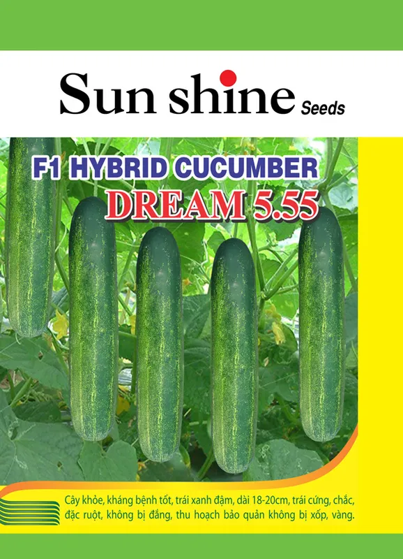 Sản phẩm Dua leo f1 dream 5.55 — Công Ty TNHH MTV Hạt Giống Ánh Dương — MST 0311174979
