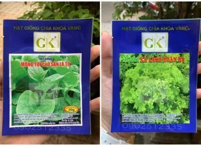 Sản phẩm bfd4d096791d8643df0c 400x290 — Công Ty TNHH MTV Hạt Giống Ánh Dương — MST 0311174979