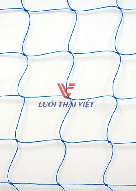 Sản phẩm 00168 luoi giang ro — Công Ty Cổ Phần Lưới Thái Việt — MST 0311187086