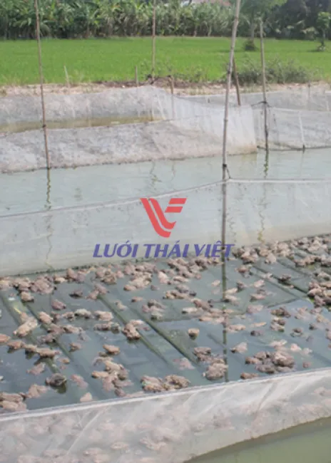 Sản phẩm 073c9 luoimungnuoiech ca2 — Công Ty Cổ Phần Lưới Thái Việt — MST 0311187086