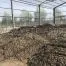 Sản phẩm Tam lop lay sang nha phoi bun Loteco 5 66x66 — Công Ty TNHH Thương Mại Dịch Vụ Sản Xuất Nhựa Nam Việt — MST 0311230704