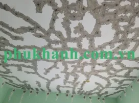 Sản phẩm nut san be tong 1024x768 — Công Ty TNHH Đầu Tư Thương Mại Dịch Vụ Xây dựng Phú Khánh — MST 0311262833