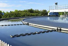 Sản phẩm sa1 — Công Ty Cổ Phần Xuất Nhập Khẩu Thương Mại Sản Xuất Hóa Chất Thuận Duyên — MST 0311269934