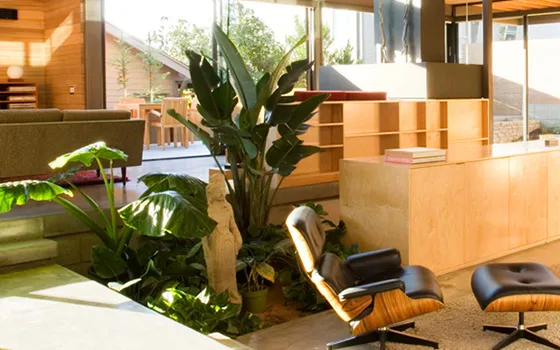 Sản phẩm BA TRIEU 22 635949322563960346 — Công Ty CP DV ALô Thiết Kế — MST 0311311181