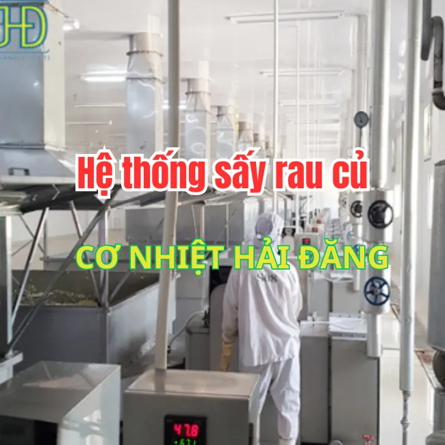 Nhà máy Máy Chiên Chân Không Hải Đăng - Công Ty TNHH Sản Xuất Thương Mại Và Dịch Vụ Cơ
Nhiệt Hải Đăng #1 — MST 0311339204