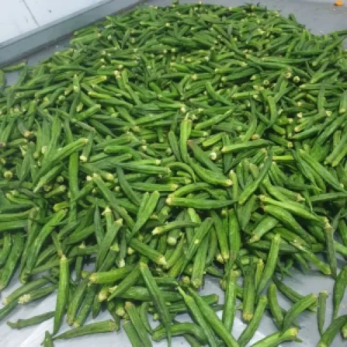 Sản phẩm dau bap chien chan khong 5155 13981 1744191695.jpg — Máy Chiên Chân Không Hải Đăng - Công Ty TNHH Sản Xuất Thương Mại Và Dịch Vụ Cơ
Nhiệt Hải Đăng — MST 0311339204