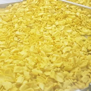 Sản phẩm mit say 6102 77260 1744191619 — Máy Chiên Chân Không Hải Đăng - Công Ty TNHH Sản Xuất Thương Mại Và Dịch Vụ Cơ
Nhiệt Hải Đăng — MST 0311339204