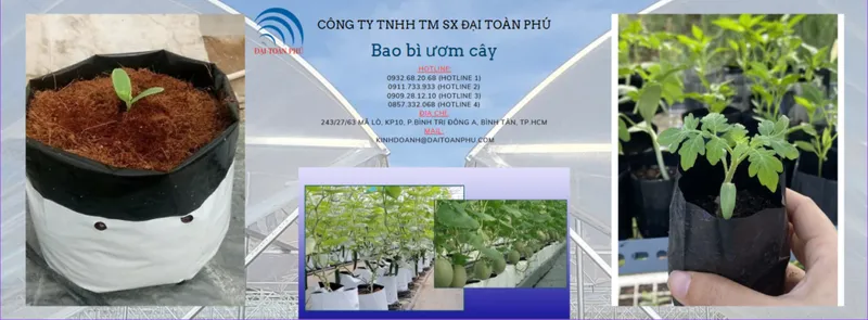Sản phẩm 7 1024x378 — Bảng Hiệu Đại Toàn Phú - Công Ty TNHH TM DV Đại Toàn Phú — MST 0311390881