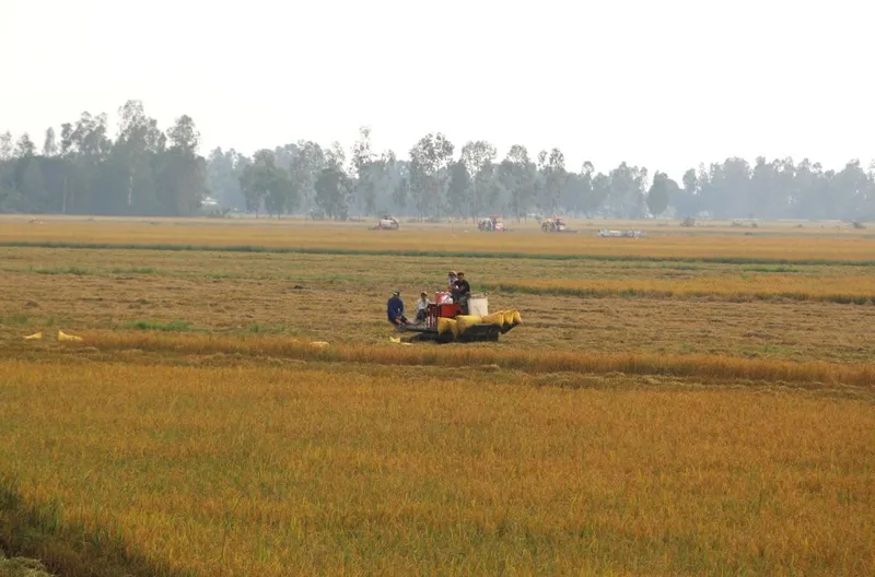 Sản phẩm bcp.cdnchinhphu.vn 334894974524682240 2023 6 12 _13 1686563580027849331126 — Bảng Hiệu Đại Toàn Phú - Công Ty TNHH TM DV Đại Toàn Phú — MST 0311390881