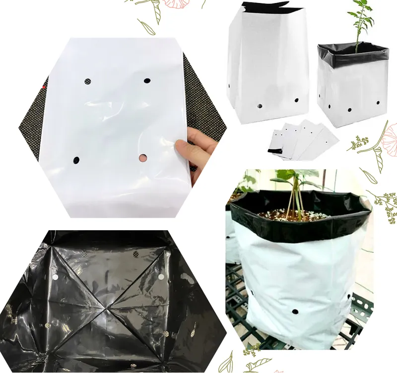 Sản phẩm dsafds — Bảng Hiệu Đại Toàn Phú - Công Ty TNHH TM DV Đại Toàn Phú — MST 0311390881