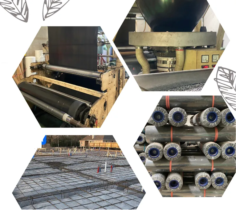 Sản phẩm mpct — Bảng Hiệu Đại Toàn Phú - Công Ty TNHH TM DV Đại Toàn Phú — MST 0311390881