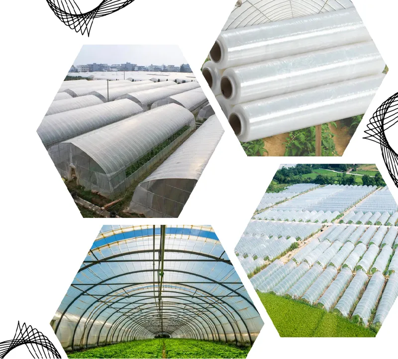 Sản phẩm MPNK — Bảng Hiệu Đại Toàn Phú - Công Ty TNHH TM DV Đại Toàn Phú — MST 0311390881
