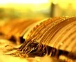Sản phẩm 20170725203901giavanghomnay310320171 8585 — Bồn Nước Bình Minh - Công Ty TNHH Bồn Nước Bình Minh — MST 0311479071