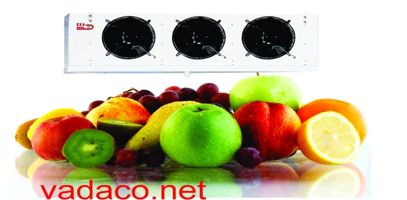 Sản phẩm BB — Công Ty TNHH Sản Xuất Thương Mại Vân Đạt — MST 0311519888