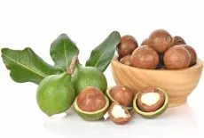 Sản phẩm cachchebienhatmaccatuoi 3431 — Cân Điện Tử Thành Được - Công Ty TNHH Cân Điện Tử Thành Được — MST 0311531726