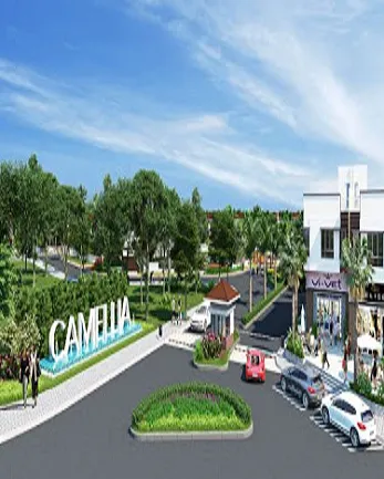 Sản phẩm camellia — Công Ty TNHH Anabuki NL Housing Service Việt Nam — MST 0311537125