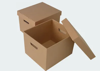Sản phẩm ThungCartonAmDuong1 — Công Ty TNHH Nhựa Toàn Sơn Hà — MST 0311547557
