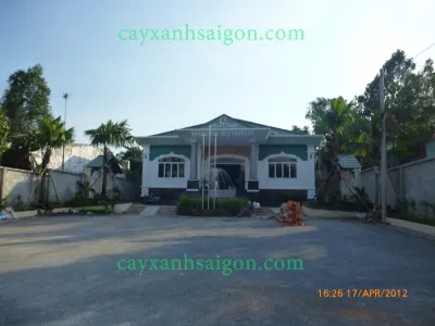 Sản phẩm 1_2_1 — Công Ty Cổ Phần Cây Xanh Sài Gòn — MST 0311561720