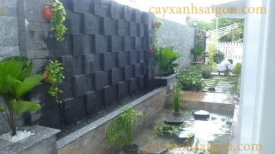 Sản phẩm 4 — Công Ty Cổ Phần Cây Xanh Sài Gòn — MST 0311561720