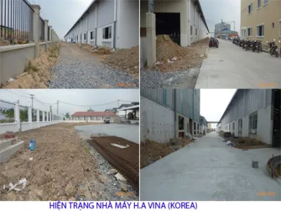 Sản phẩm ht — Công Ty Cổ Phần Cây Xanh Sài Gòn — MST 0311561720