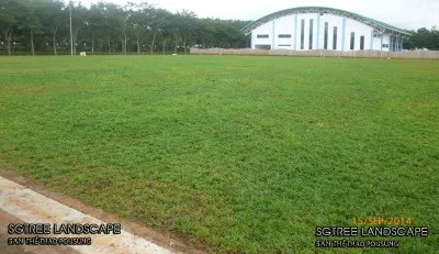 Sản phẩm p1070510 — Công Ty Cổ Phần Cây Xanh Sài Gòn — MST 0311561720