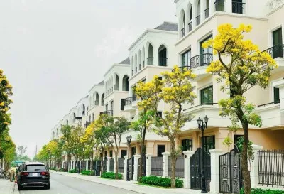 Sản phẩm z5396369000202_748a63ba3fe226dfa8a57d1cf498fefc — Công Ty Cổ Phần Cây Xanh Sài Gòn — MST 0311561720