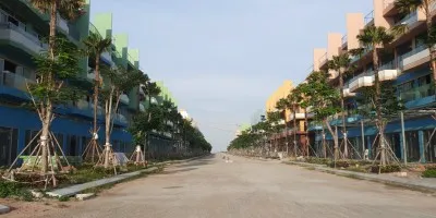 Sản phẩm z5396547880816_5ac69e1615645dabbd7a31309c0a3277 1 — Công Ty Cổ Phần Cây Xanh Sài Gòn — MST 0311561720