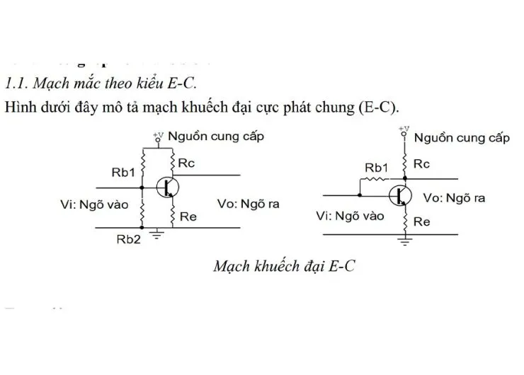 Sản phẩm khuyech dai cuc phat chung 740x530 — Công Ty TNHH TM & DV Nho Hòa — MST 0311602624