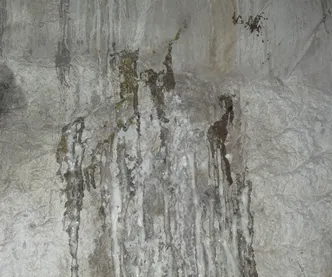 Sản phẩm image 18 — Công Ty TNHH Đầu Tư Xây Dựng Thương Mại Nguyên Phát — MST 0311620687