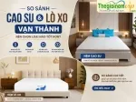 Sản phẩm 150__so sanh nem cao su va nem lo xo van thanh loai nao tot — Thế Giới Nệm VIP — MST 0311625501