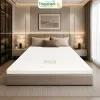 Sản phẩm 100__nem cao su bong ep van thanh ultra care thang 3c7g nem da tang — Thế Giới Nệm VIP — MST 0311625501