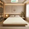 Sản phẩm 100__nem cao su thien nhien van thanh segovia — Thế Giới Nệm VIP — MST 0311625501