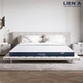 Sản phẩm 170__nem cao su thien nhien lien a la dome premium — Thế Giới Nệm VIP — MST 0311625501