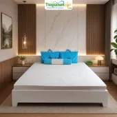 Sản phẩm 170__nem cao su thien nhien van thanh standard — Thế Giới Nệm VIP — MST 0311625501