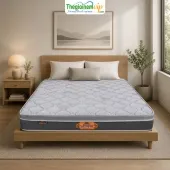 Sản phẩm 170__nem lo xo tui kim cuong acness — Thế Giới Nệm VIP — MST 0311625501