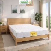 Sản phẩm 170__nem lo xo van thanh phoenix — Thế Giới Nệm VIP — MST 0311625501