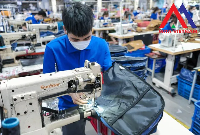 Sản phẩm 44 — Công Ty TNHH Mita Việt Nam — MST 0311629337