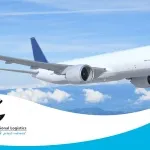 Sản phẩm nganhvantaihangkhongvietnam01 16019039550 — Transporter - Công Ty TNHH Giao Nhận Người Vận Chuyển Quốc Tế — MST 0311660337