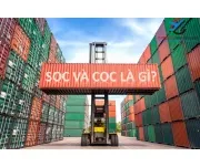 Sản phẩm z5759114588603dc573315eec4bc65c7d1de669258b42b 17243974334 — Transporter - Công Ty TNHH Giao Nhận Người Vận Chuyển Quốc Tế — MST 0311660337