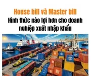 Sản phẩm z5862250759950fa1c67ecbbcd6378faad35cfc1382ba3 17273211570 — Transporter - Công Ty TNHH Giao Nhận Người Vận Chuyển Quốc Tế — MST 0311660337